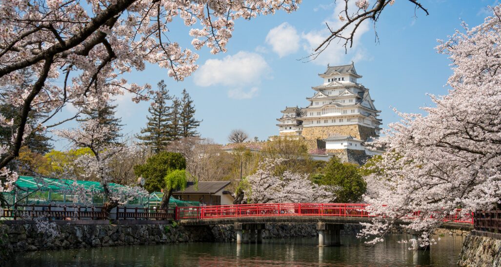 姫路市